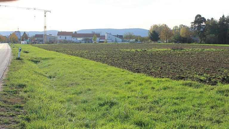 Das Kleinlangheimer Gewerbegebiet an der Haidter Straße wird erweitert. Das Bild zeigt die vorgesehene Fläche, die nördlich an das bestehende Gebiets anschließt