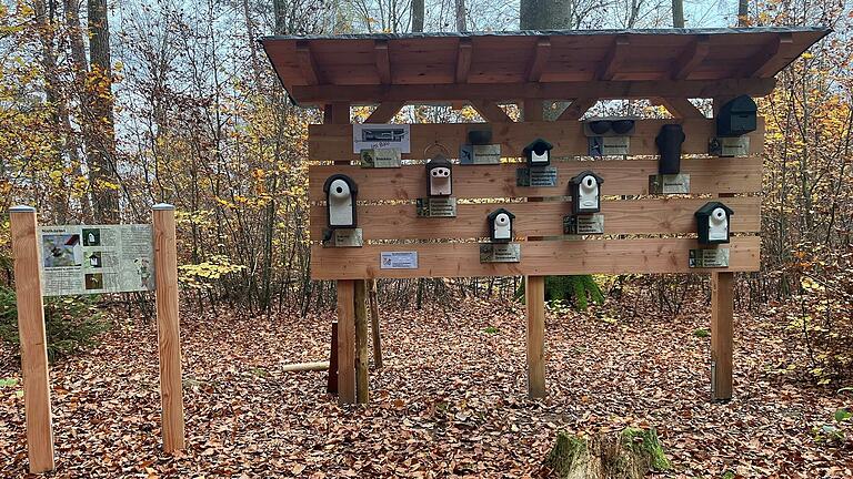 Auf dem Naturlehrpfad 'Scholli' gibt es nun eine neue Station: die Nistkasten-Schauwand.