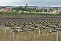 Eine PV-Anlage gibt es bereits seit einigen Jahren am Ortsrand von Kleinbardorf. Nun folgt eine weitere in Richtung Flugplatz.