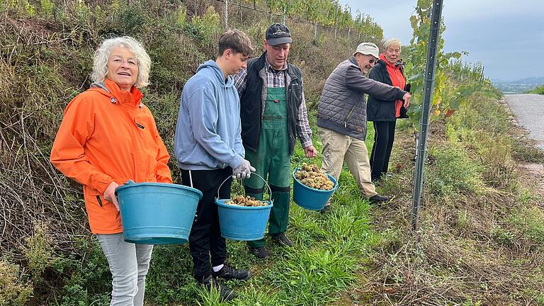 Im Weinberg packt die ganze Familie mit an: Maria Bühl (58), Veit Nüßlein (14), Roger Nüßlein (54), Anton Nüßlein (84) und Ursula Nüßlein (83) bei der letzten Weinlese des Jahres.