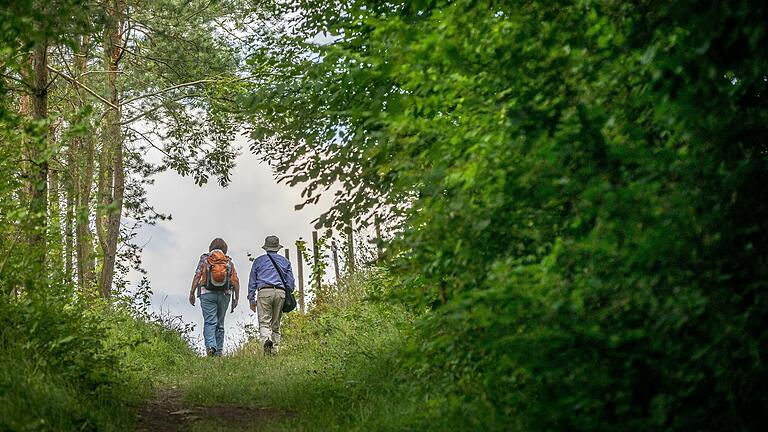 Im Landkreis Würzburg bieten 12 besondere Wanderrouten die Möglichkeit, die Region zu erkunden.