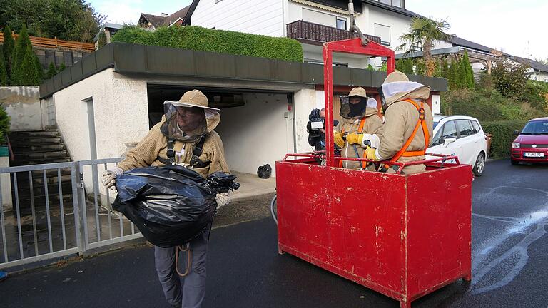 Einsatz geglückt: Das Hornissennest ist, wohlverpackt, am Boden angelangt. Kurze Zeit später geht es nach Veitshöchheim damit.&nbsp;