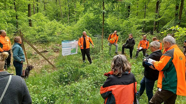 An einzelnen Waldorten wurden die Planungen für den künftigen Klimawald besprochen