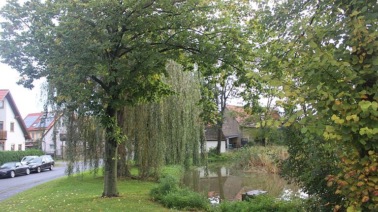 Eine eigentlich recht idyllische Ecke ist der  zwischen Friedhof und Dorf gelegene See in Altenschönbach. Doch nicht alles dort wird als idyllisch empfunden.