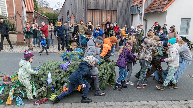 Sobald der Gössenheimer 'Zachäus-Baum' mit einem lauten Krach auf die Straße aufschlägt, spurten die Kinder der beiden Dorfhälften los, um die 'Trophäe' auf ihre jeweilige Seite zu ziehen.